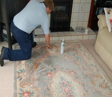家庭地毯的維護與保養